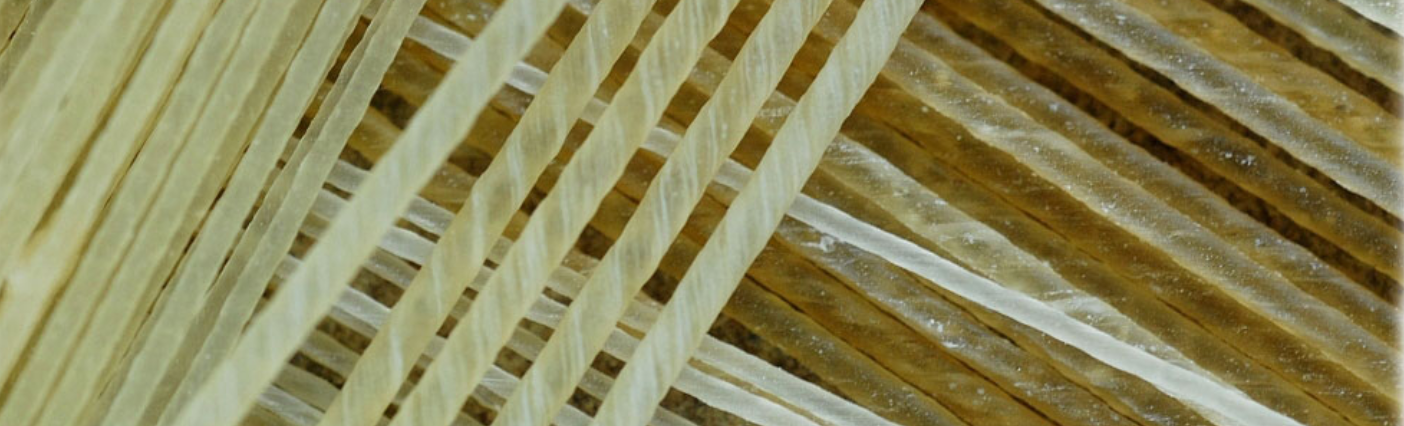 Natural gut tennis string